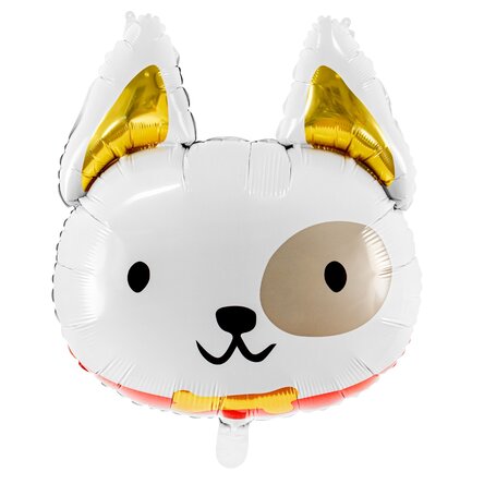 Balloon - Catelus