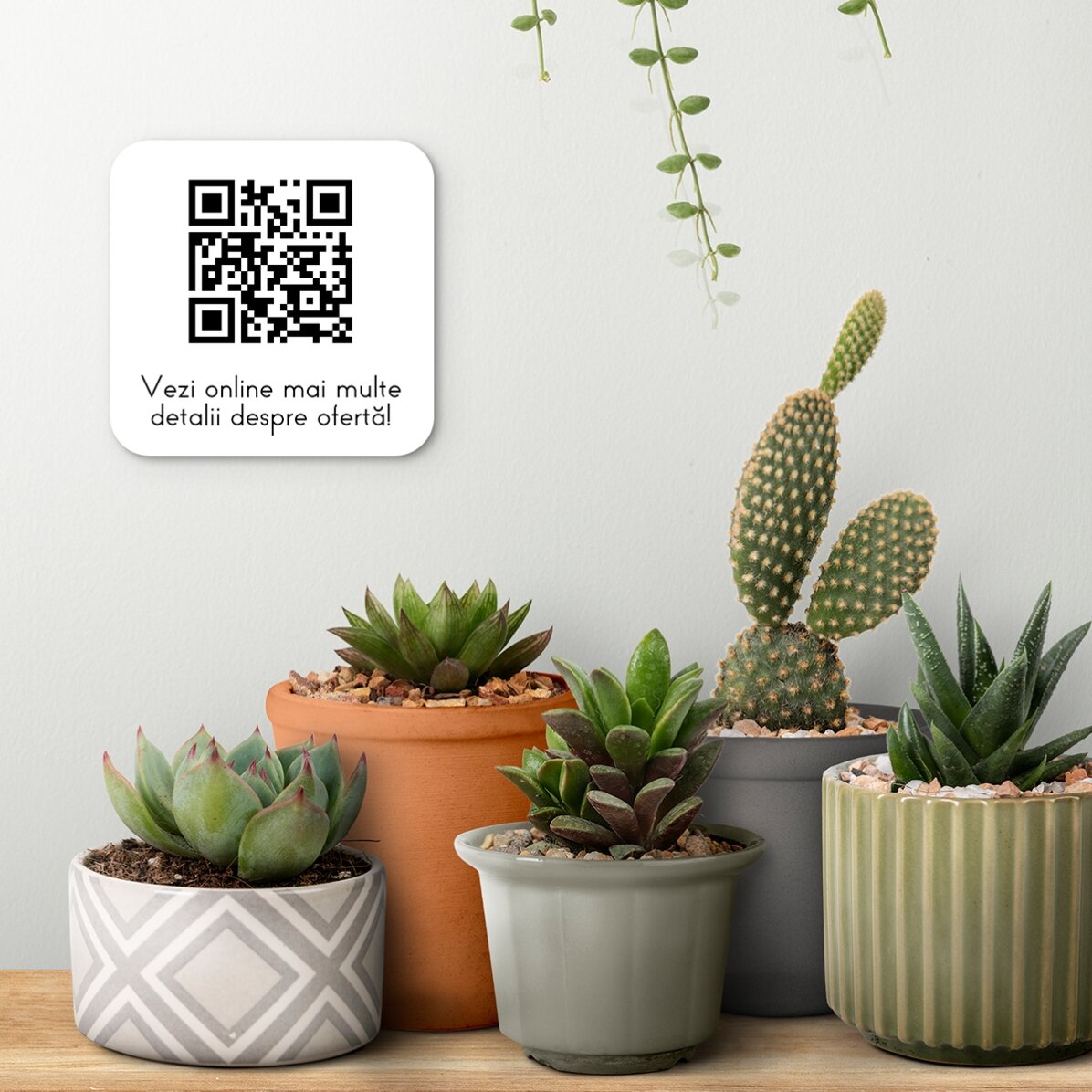 Προσαρμοσμένη πλακέτα με QR code και κείμενο