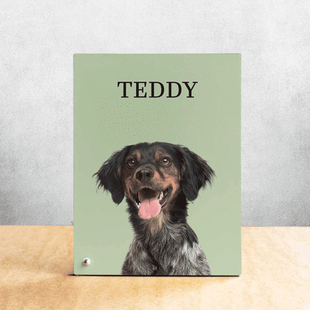 Personalised desk photo frame with your pet's photo and name