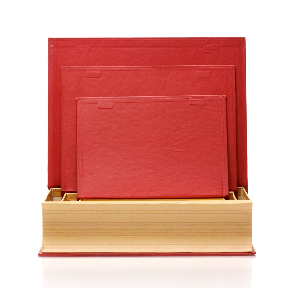 Christmas gift box - fir tree model
