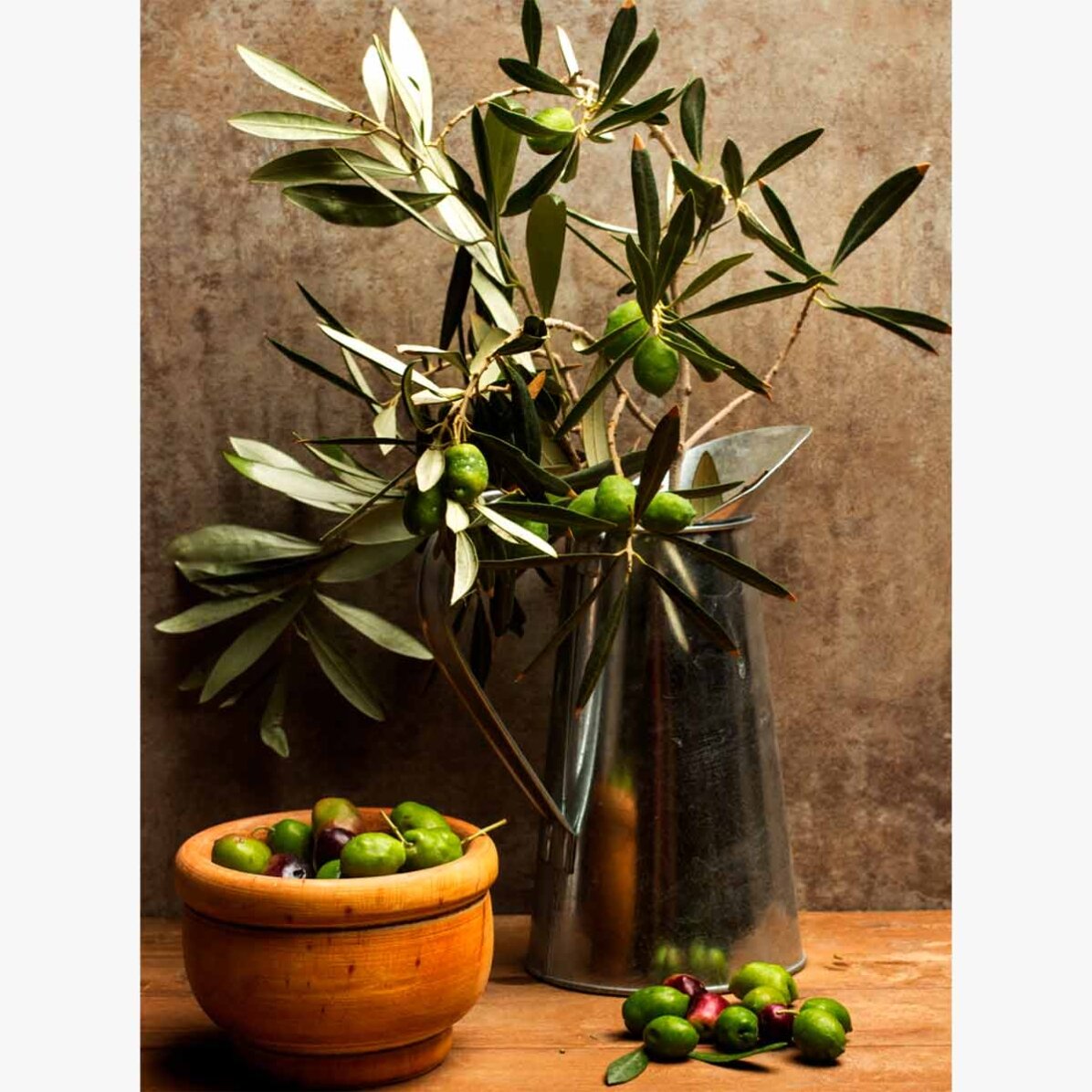 Olive Tree Poster