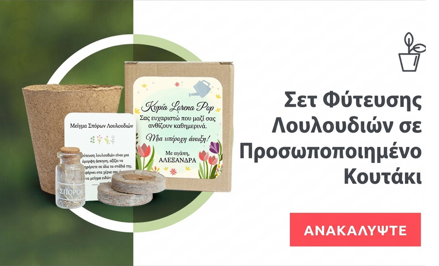 Σετ για φύτευση λουλουδιών σε εξατομικευμένο κουτί