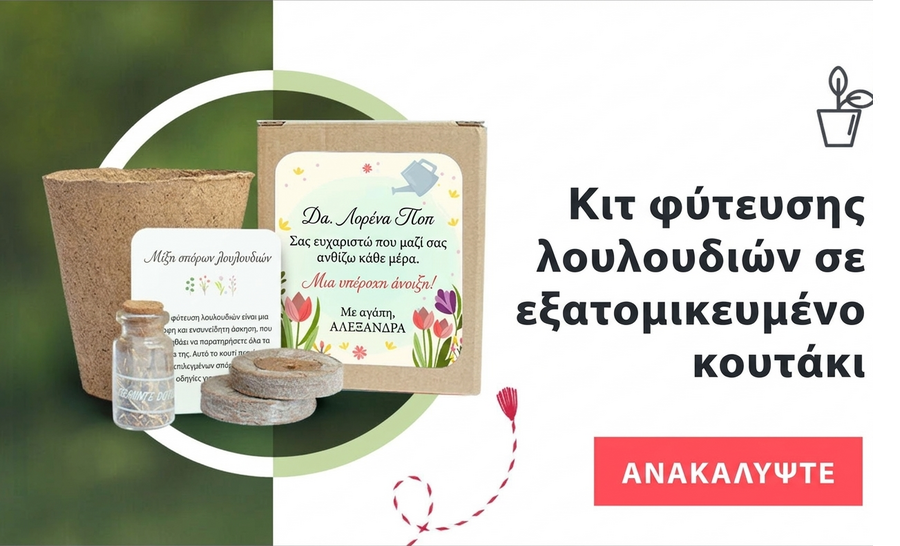 Σετ για φύτευση λουλουδιών σε εξατομικευμένο κουτί