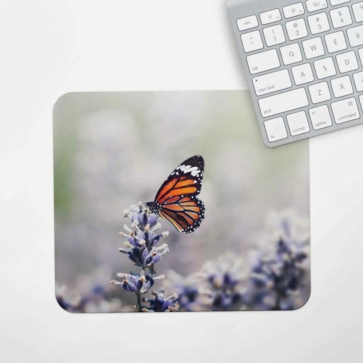 Προσαρμοσμένο mouse pad με πεταλούδα