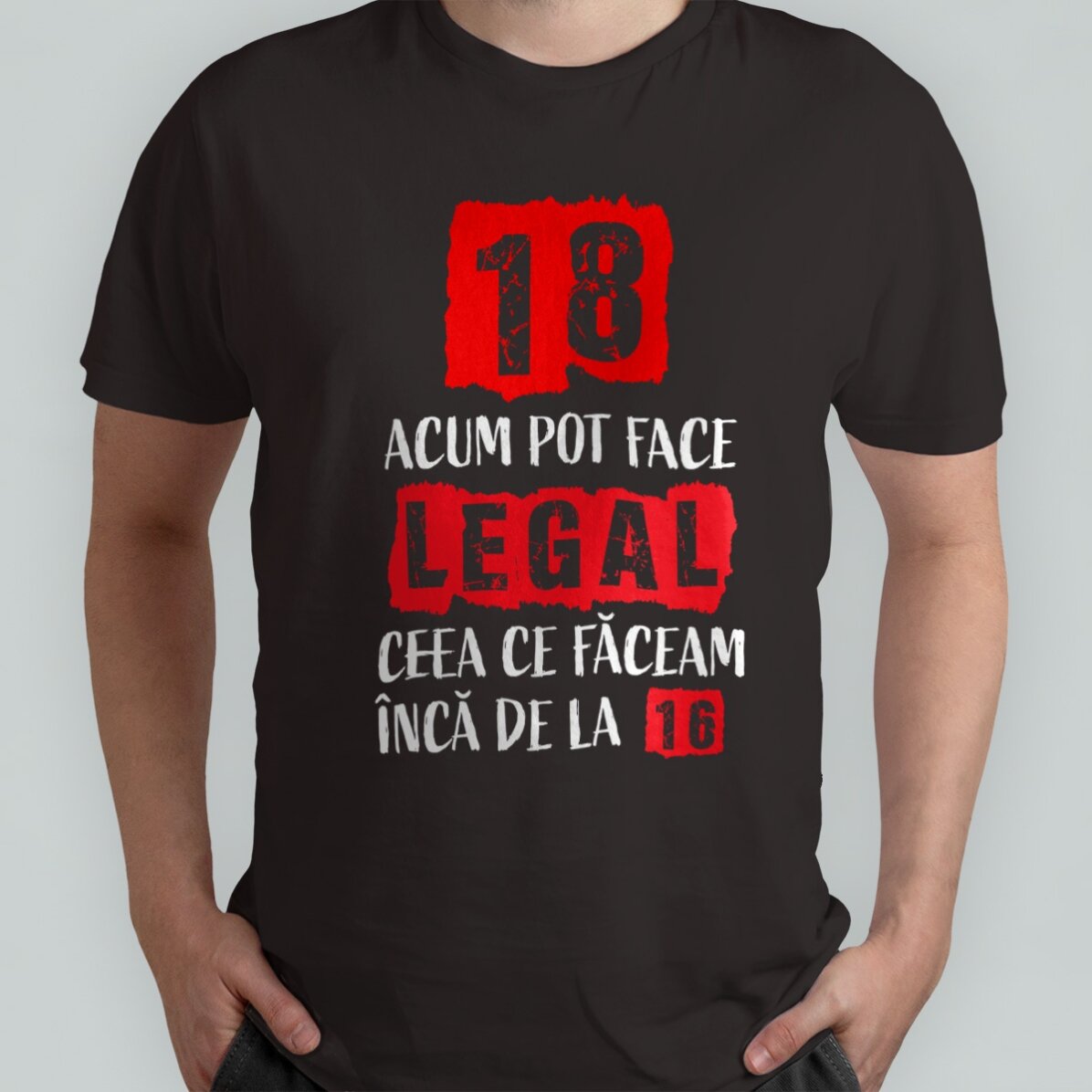 Custom cotton T-shirt with text - Majorat